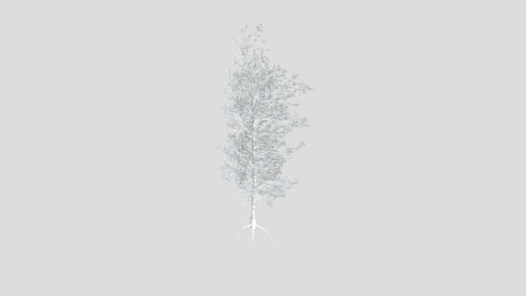 Sj Boundless Pine Sentinel