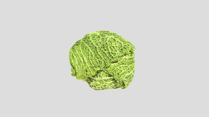Cabbage
