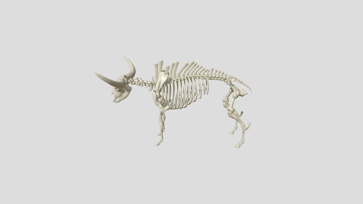 Bison Latifrons 3D Model