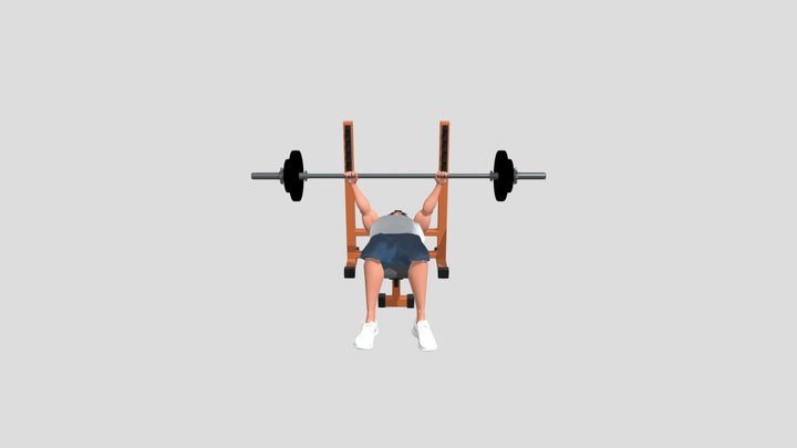 Bench Press 3D Model