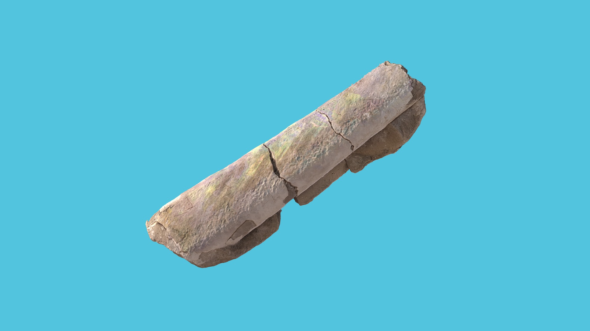 3D model Baculites sp. - This is a 3D model of the Baculites sp.. The 3D model is about a piece of wood with a hole in it.