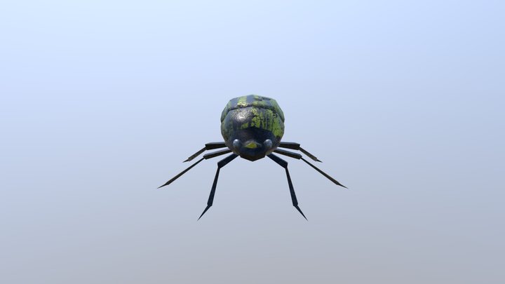 Bug 3D Model