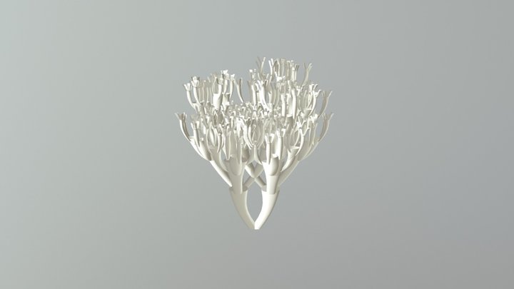เห็ดปะการัง 3D Model