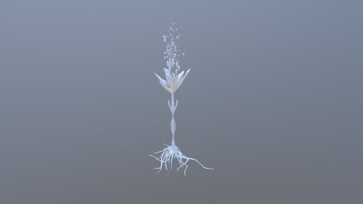 Flor 3D Model