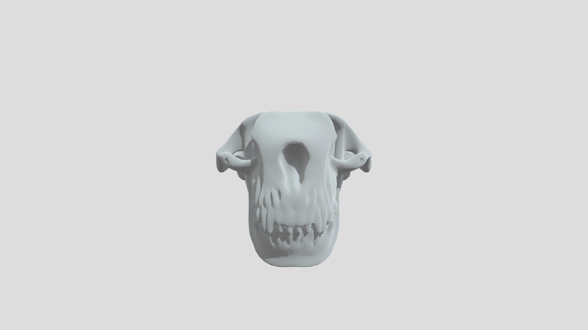 Mandible anatomical model - 3D model by naoeyamato99 [48dec13] - Sketchfab