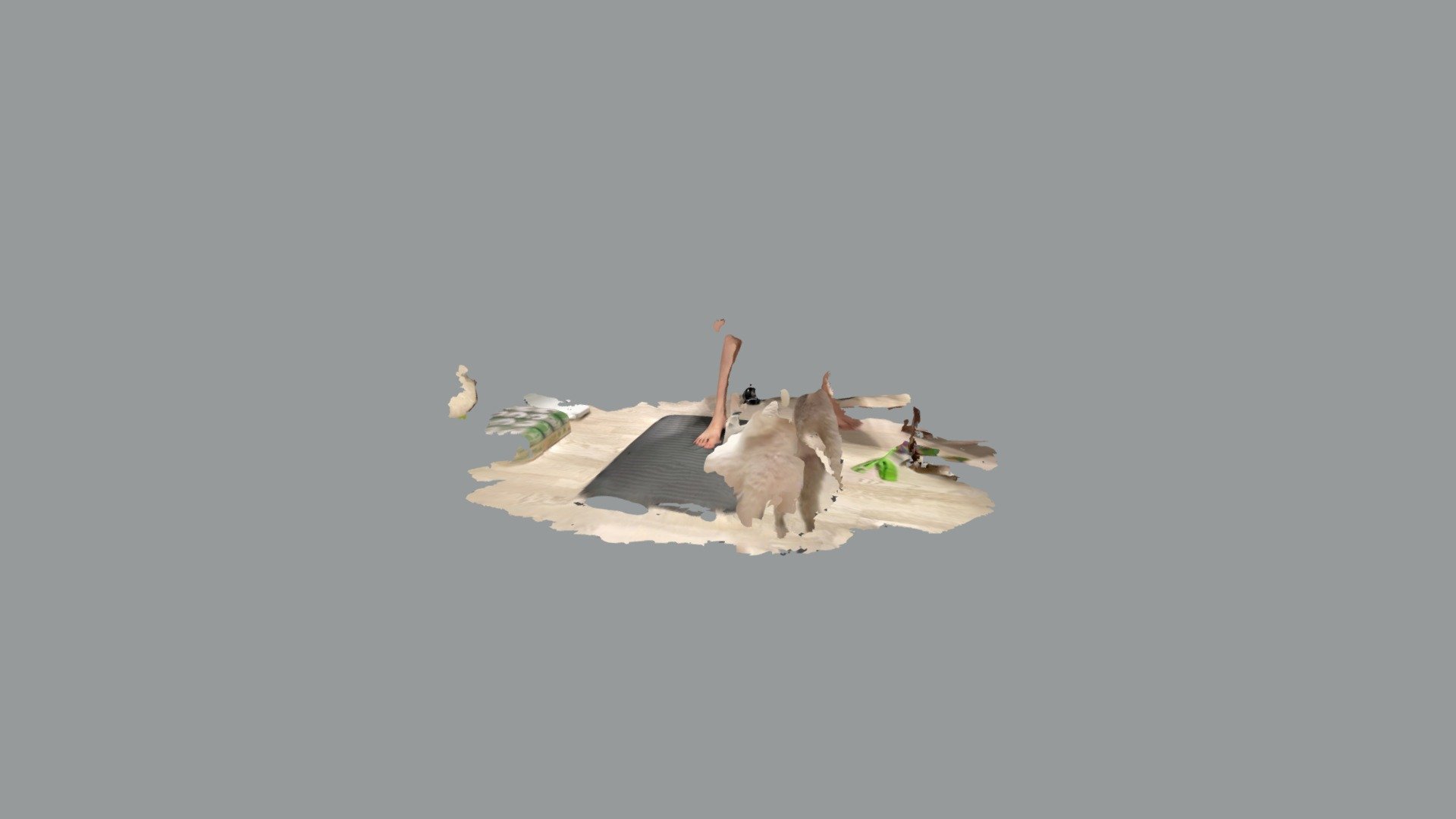 Foot model