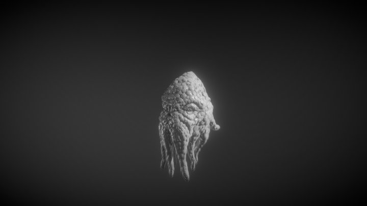 Old Squid 3D Model