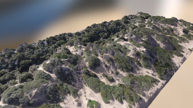 Collendina Sand Dunes 3D render 3D Model