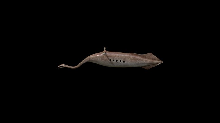 Tully Monster | Tullimonstrum 3D Model