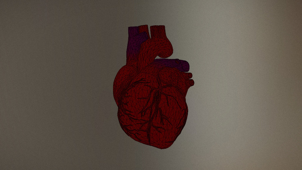 Anatomy - Heart - 3D model by MatthewWood (@wickedwood) [48e5927 ...