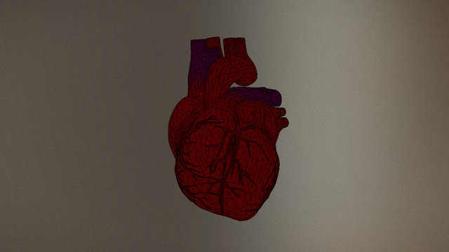 Anatomy - Heart 3D Model