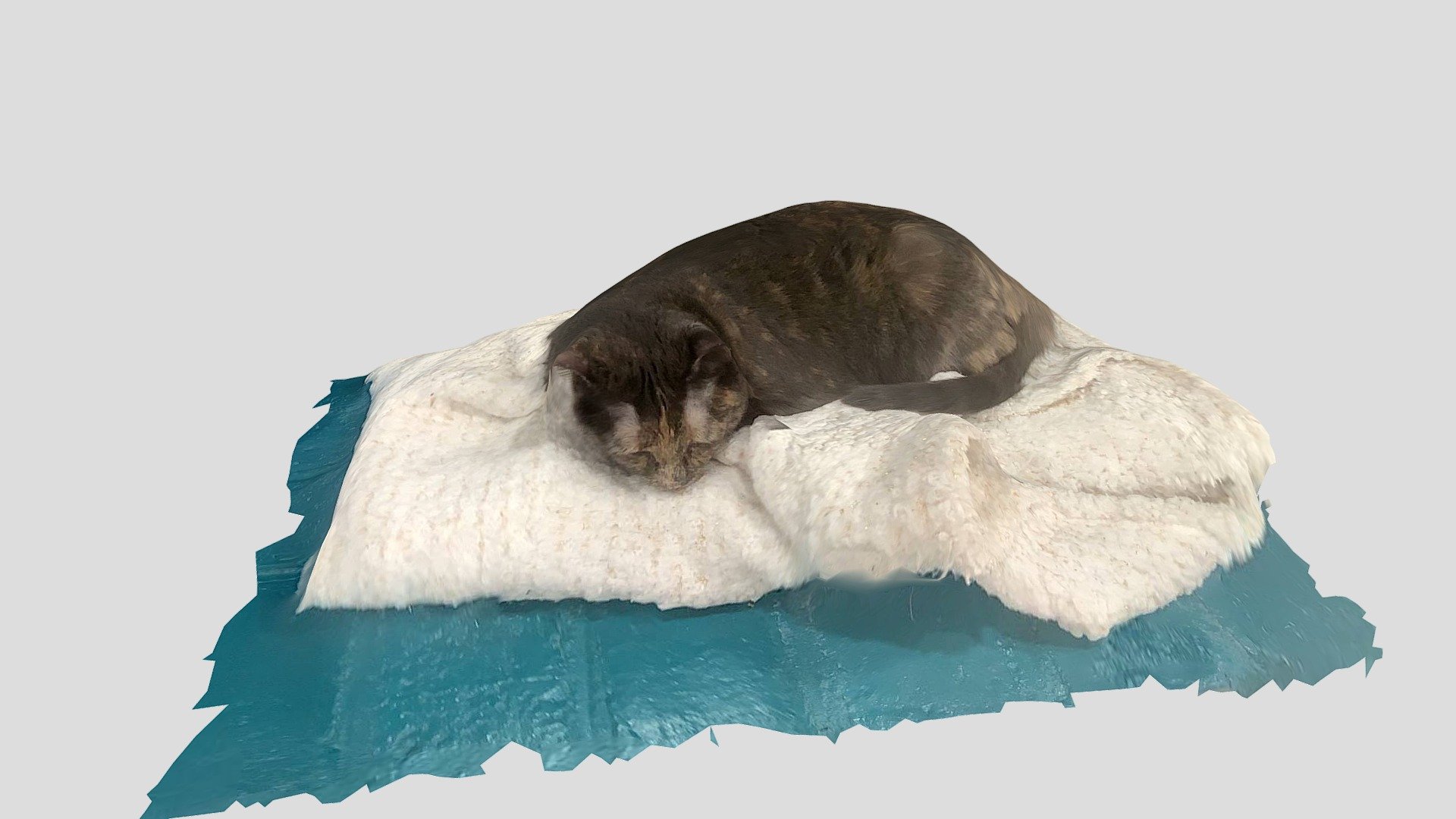 Sleeping cat -- Apple LiDAR
