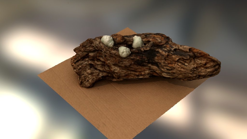 Mush1 - 3D model by rizu [48eab5a] - Sketchfab