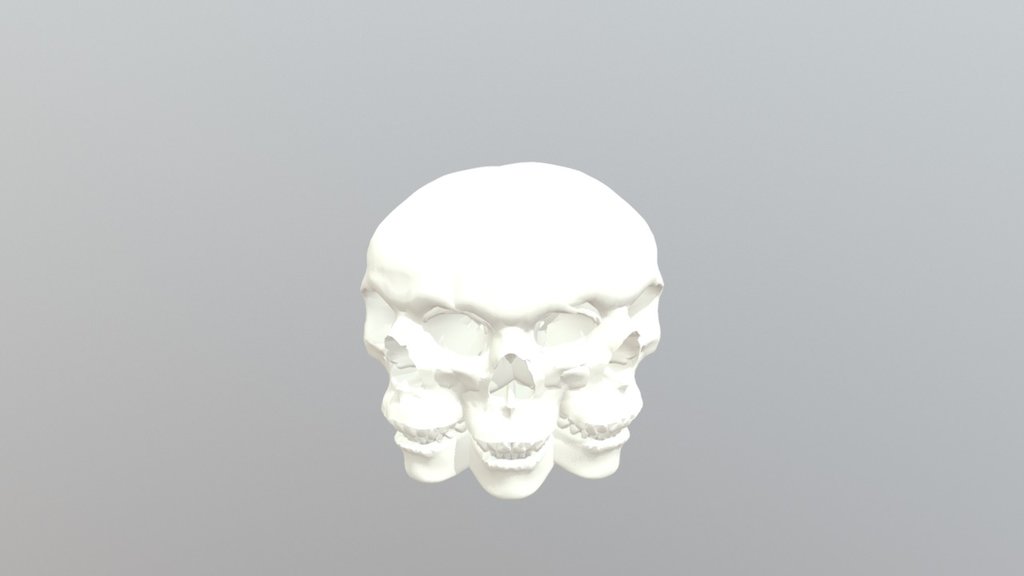 Skull Camilo
