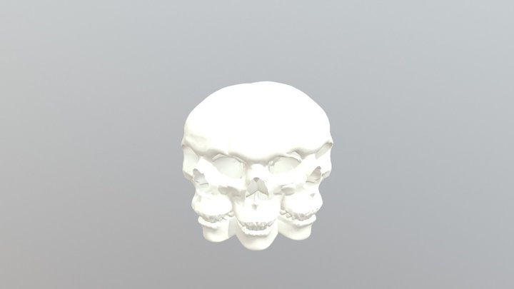 Skull Camilo 3D Model