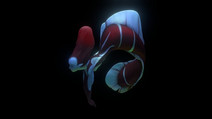 Mermaid – Modello 3D gratuito STL