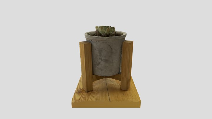 Pot Plant with Desert Rose 3D Model