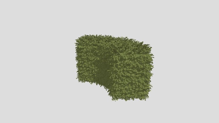Corner Boxwood 3D Model