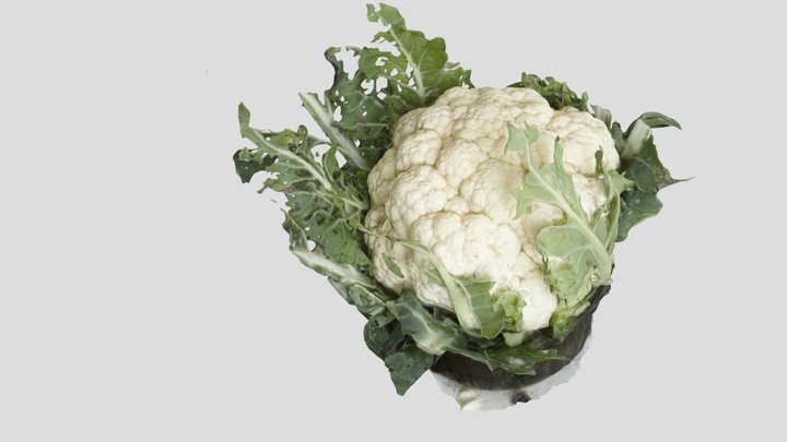 My cool 3D scene: A cauliflower from the garden. 3D Model