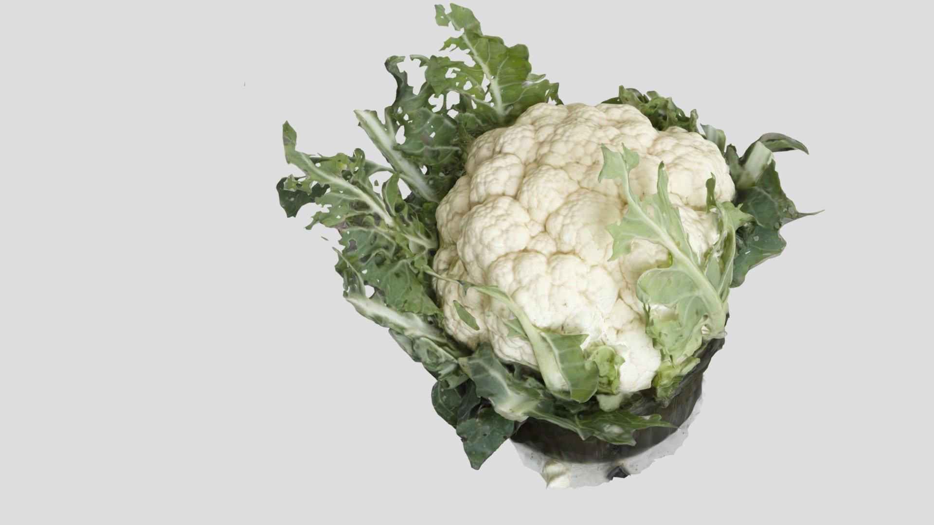 My cool 3D scene: A cauliflower from the garden.