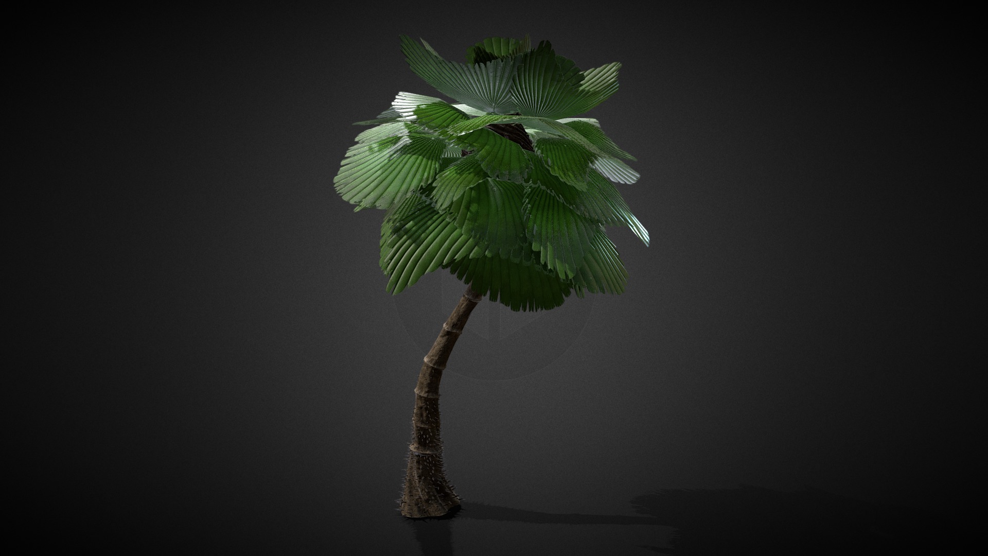 3D model Tree Palm Alien 001a - This is a 3D model of the Tree Palm Alien 001a. The 3D model is about a green leaf on a branch.