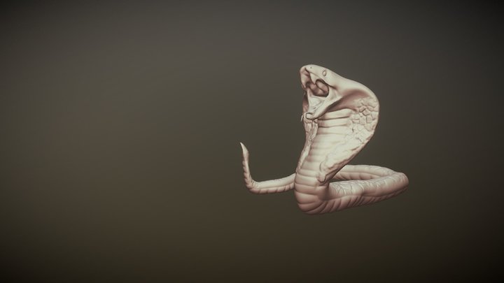 Cobra 3D Model