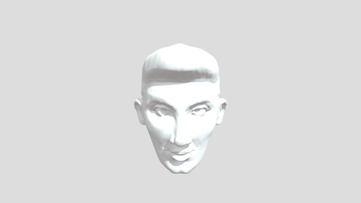 Fantastic Hair Man Sculpt 3D Model