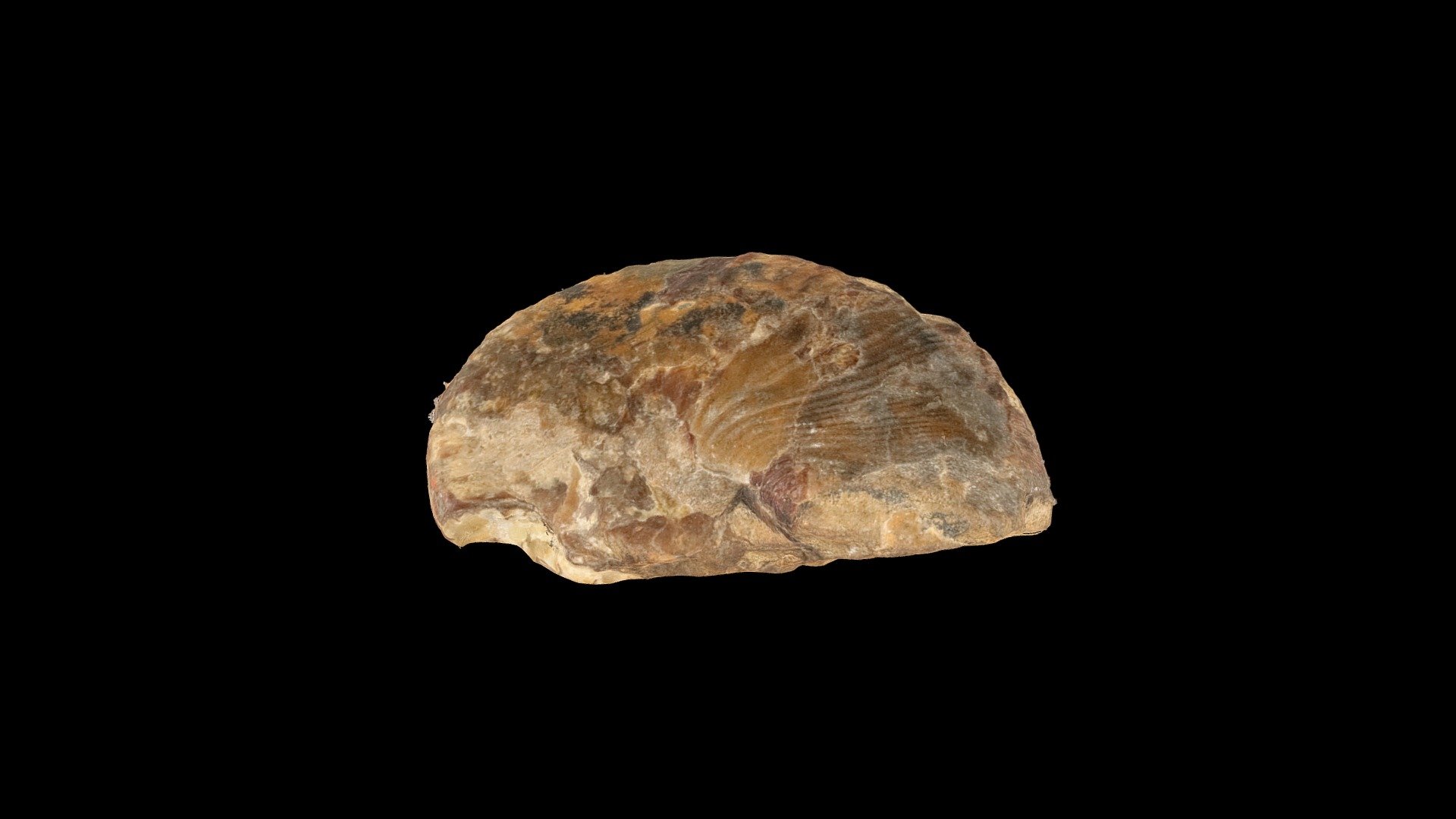Geol316_1F