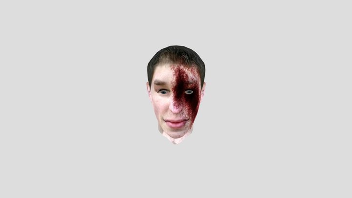 skibidi toilet injured facemaps 3D Model