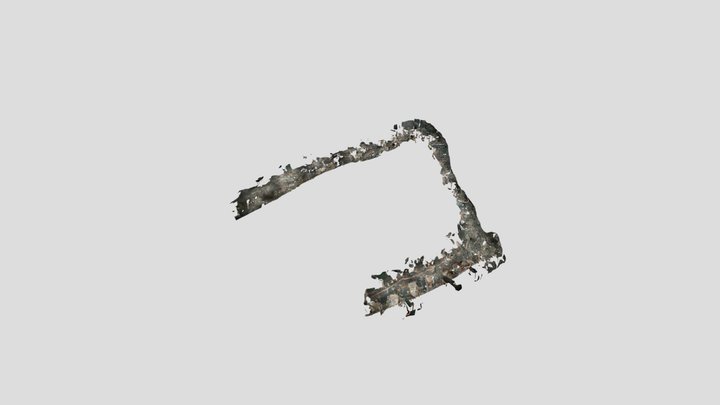 Untitled Scan 3D Model