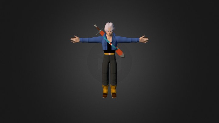 Trunks 3D Model