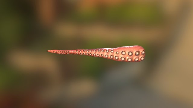 Octopus Tentacle 3D Model