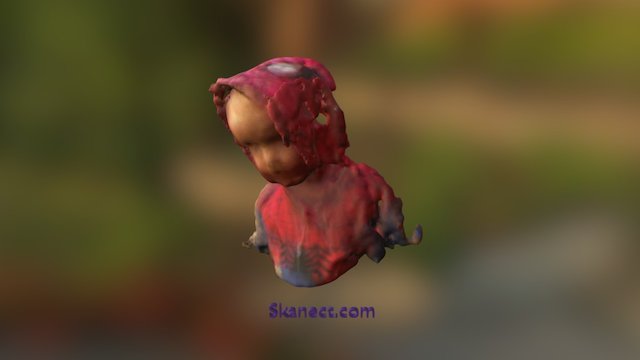 Henry 3D Model