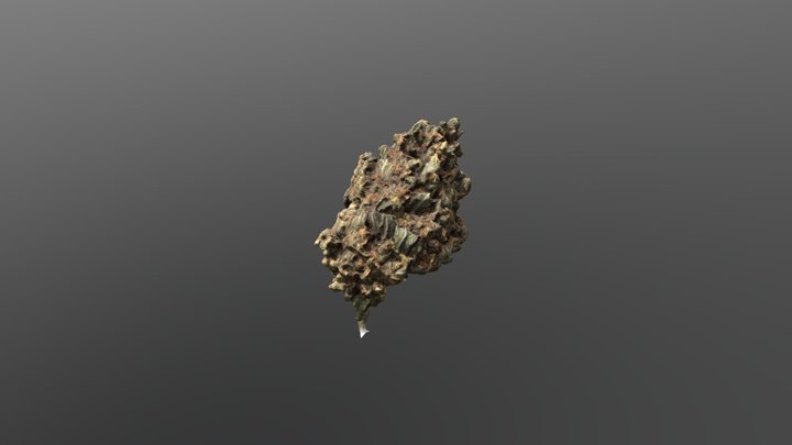 Cof 3D Model