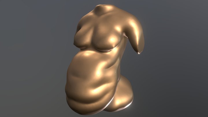 Fat 3D Model