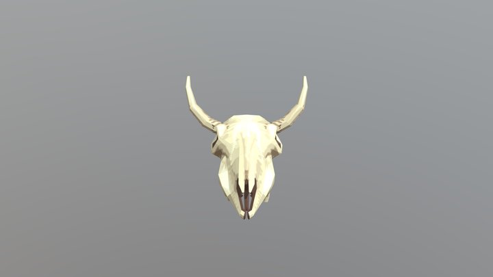 Skull 3D Model