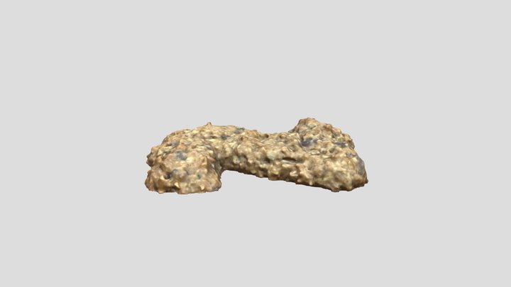 Z_ Cookie 3D model scanned by RealityScan 3D Model