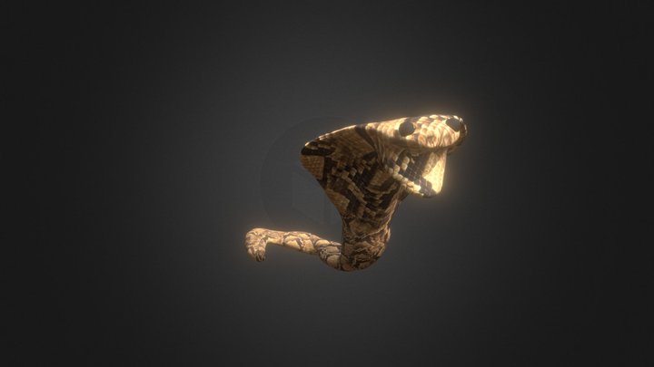 Naja Model - NAC1 3D Model