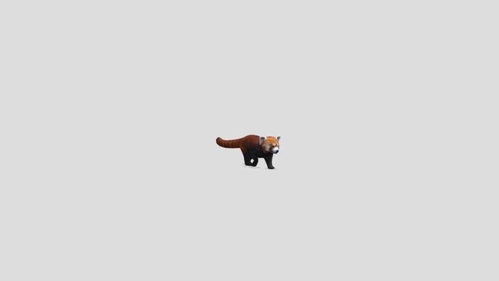 RedPanda 3D Model
