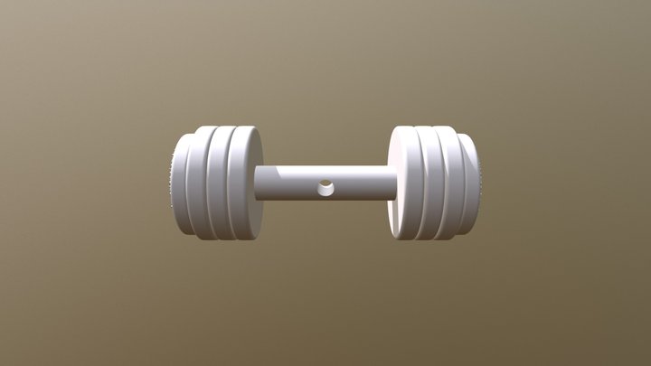 DUMBBELLS 3D Model