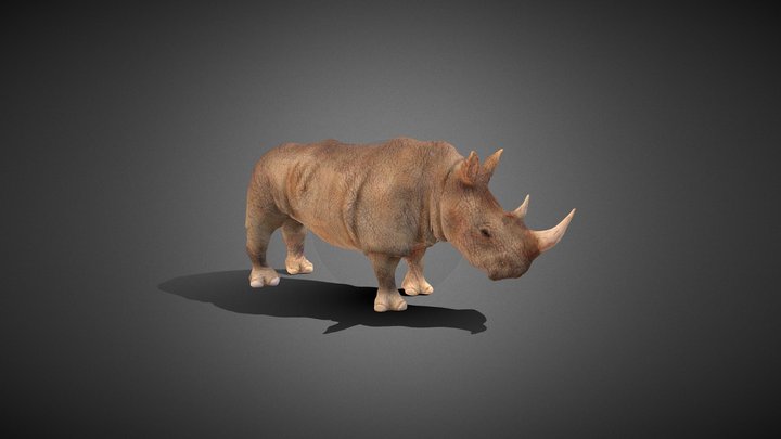 RINOCERONTE 3D Model