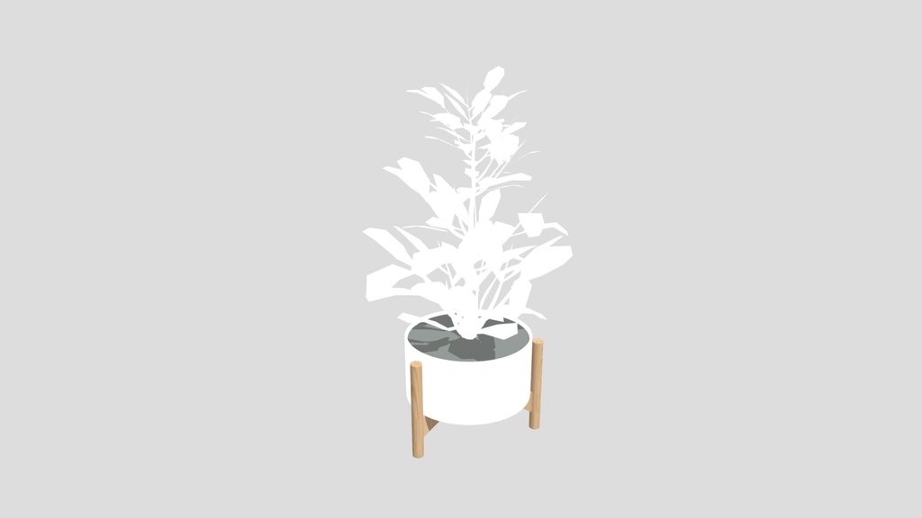 Indor Vase Plant