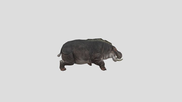 Dont-overlook-the-hippo 3D Model