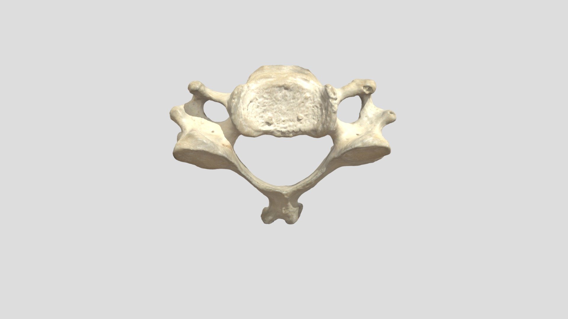C5 - 3D model by Universiteit Antwerpen (@marjanmaldoy) [492c594 ...