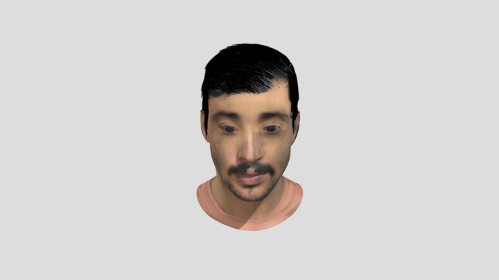 HeadForSketch 3D Model