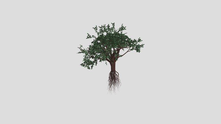ARBOL PRUEBA 3D Model