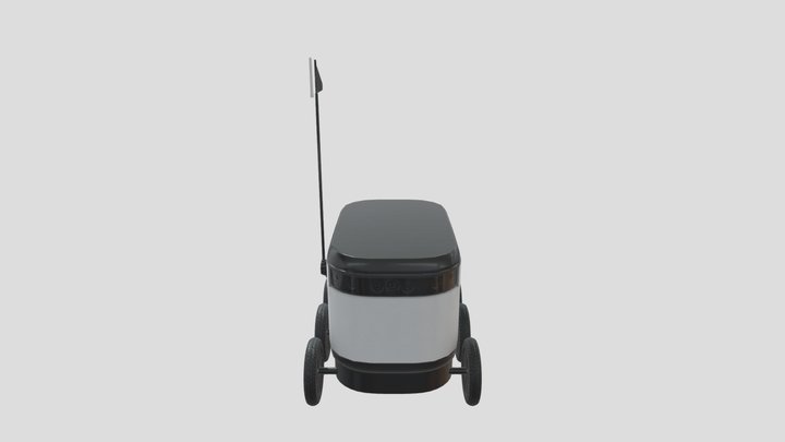 DeliveryRobot 3D Model
