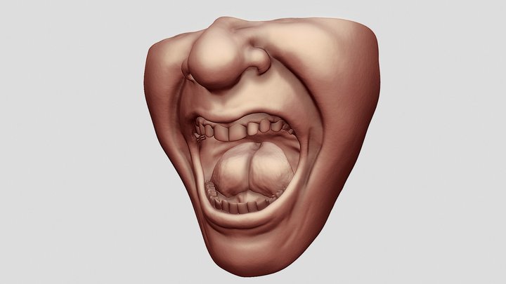 Screaming Mouth Sculpt 3D Model