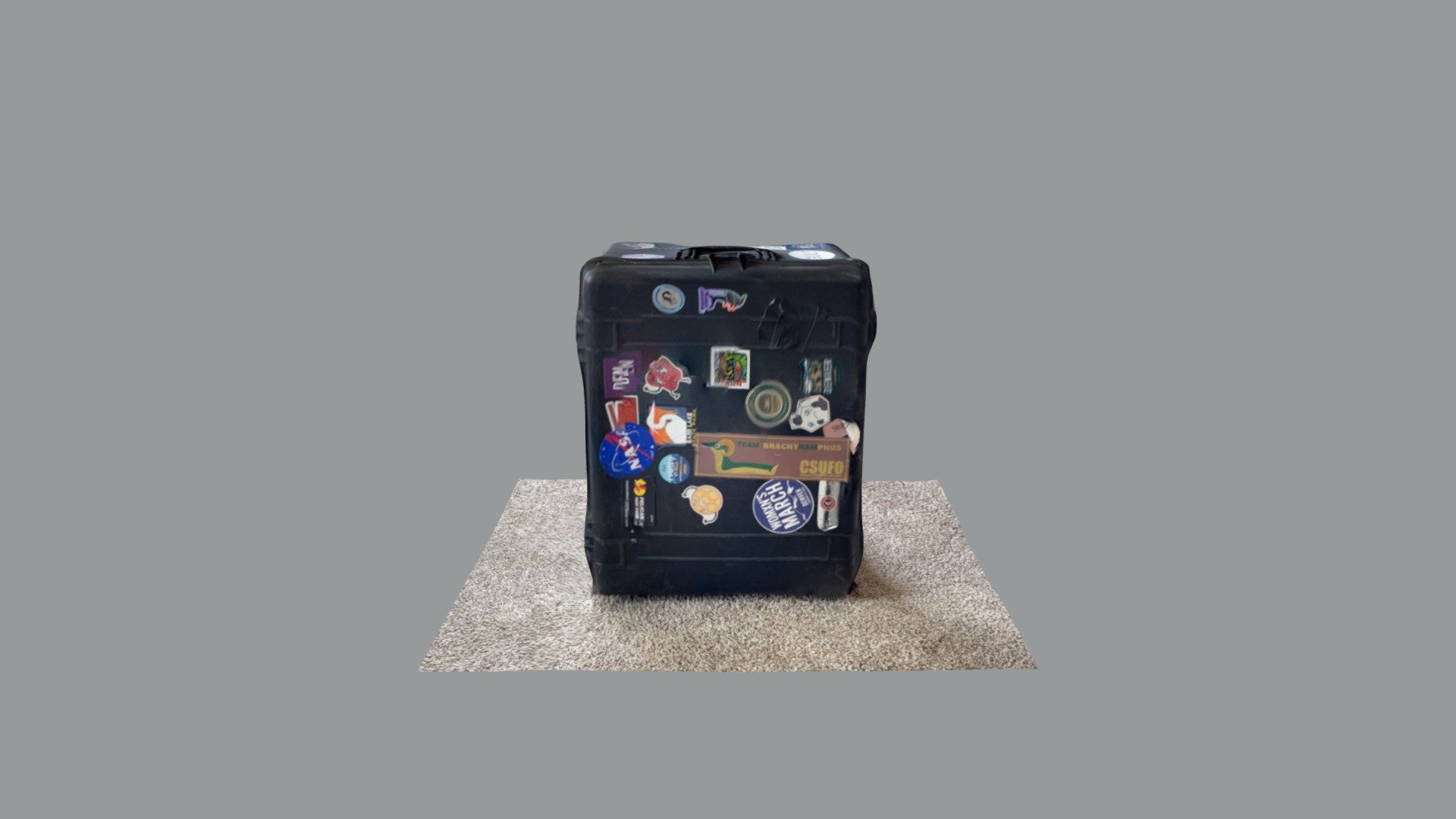 Large Pelican case