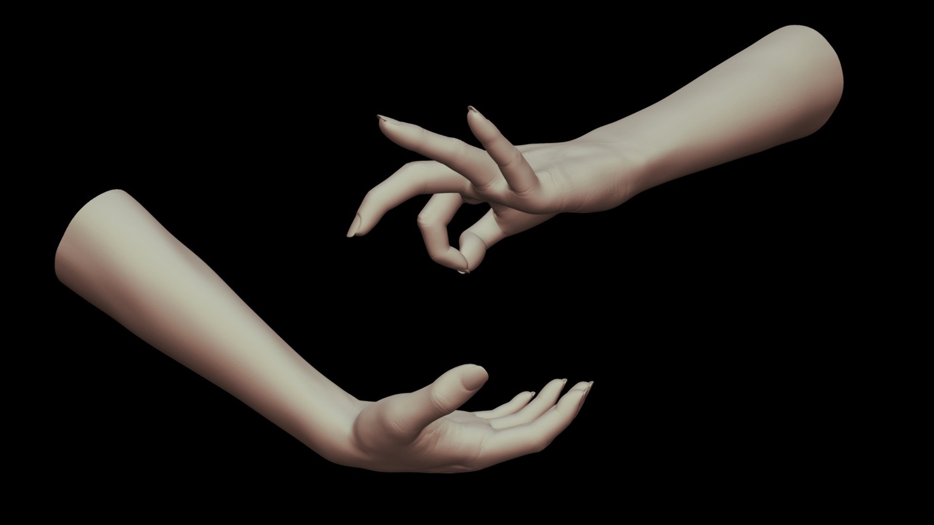 Female Hands 12